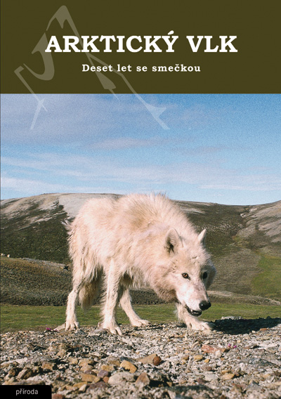 Arktický vlk - Deset let se smečkou