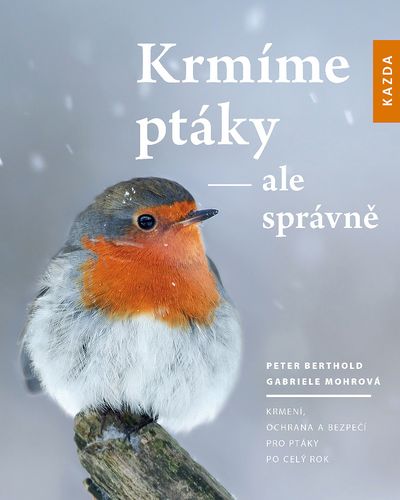 Krmíme ptáky ale správně