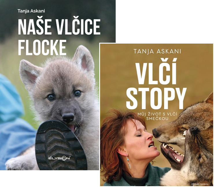Nase vlčice FLocke & Vlčí stopy