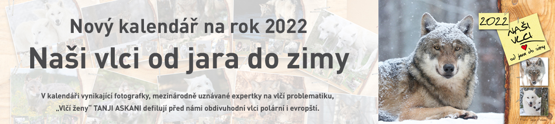 Naši vlci od jara do zimy