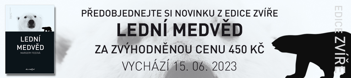 Lední medvěd